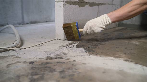 Crawl space vapor barrier installation in Algonquin, IL